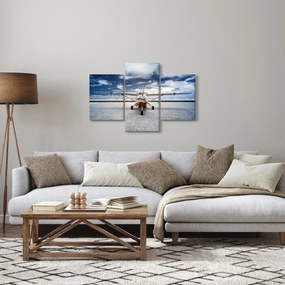 Obraz motorového lietadla (90x60 cm)