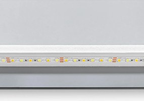 REA - Zrkadlo LED SQR 50x100cm, HOM-02507