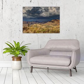 Sklenený obraz - kaktusy v prírode (70x50 cm)