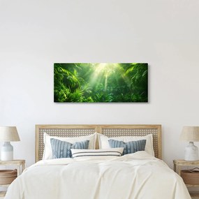 Obraz - Dažďový prales (120x50 cm)