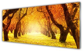 Obraz plexi Les chodník stromy príroda 125x50 cm