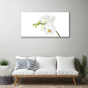 Obraz Canvas Orchidea kvety príroda 125x50 cm