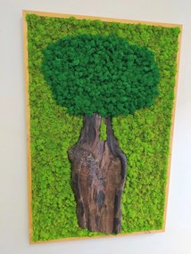 Machový obraz- strom 110cm x 55cm