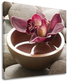 Obraz na stenu FENG SHUI | rôzne rozmery