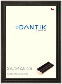 DANTIK rám na obraz 29,7x42 | Grace Piccola černá (Plexi Čiré)