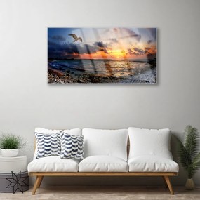 Obraz na skle Čajka more pláž krajina 125x50 cm