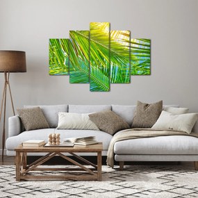 Obraz - Palmové listy (150x105 cm)