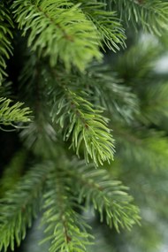 Limpol Umelý vianočný stromček Borovica Nevada Výška stromčeka: 120 cm