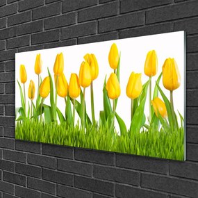 Obraz na skle Tulipány 100x50 cm
