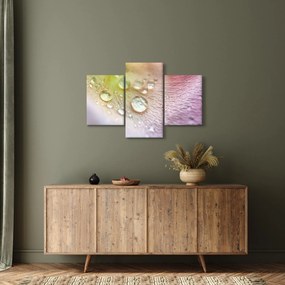 Obraz - Kvapky rosy (90x60 cm)