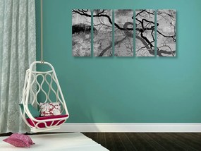 5-dielny obraz surrealistické stromy v čiernobielom prevedení - 200x100