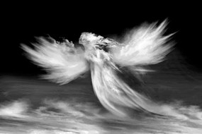 Samolepiaca tapeta čiernobiela podoba anjela v oblakoch - 375x250