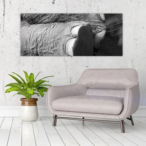 Obraz - Slonia noha (120x50 cm)