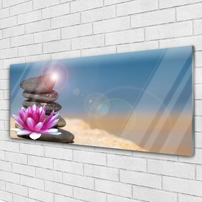 Obraz plexi Kamene kvet umenie 125x50 cm
