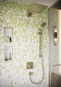 Hansgrohe Raindance Select S, ručná sprcha 120 3jet, kartáčovaný bronz, HAN-26530140