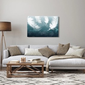 Obraz - Biela pierka (90x60 cm)