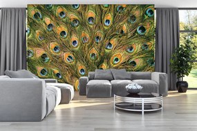 Fototapeta - Pávie perie (254x184 cm)