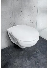 WENKO 24571100-WC sedadlo VORNO NEO 46x37 cm biele/strieborné