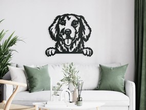 drevko 3D nálepka na stenu Zlatý retríver Rozmer obrazu: 40 x 44,5 cm, Farba dekorácie: Čierna