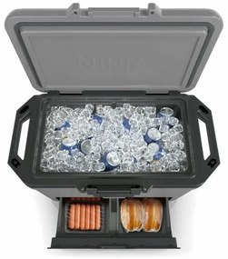 Ninja FB151EUGY chladiaci box Frost Vault, 47 l, L