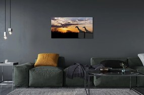 Obraz na skle Žirafy strom mraky 100x50 cm