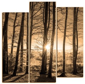 Obraz na plátne - Jesenné ráno v lese - štvorec 3251FC (105x105 cm)