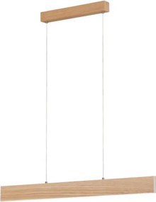 Eglo 39344 - LED závesné svietidlo na lanku CLIMENE LED/17W/230V + LED/4,2W dub