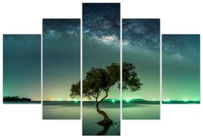 Obraz - magická noc