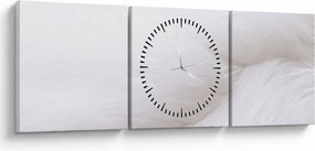 Obraz - Detail pierka (s hodinami) (90x30 cm)