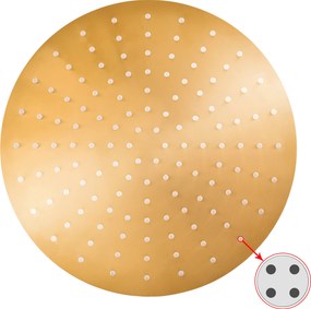 Slezák - RAV Hlavová sprcha okrúhla kovová ø 30 cm so 4-otvorovými tryskami - KS0001/4Z, Zlatá lesk