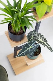 Stojan na kvety PEAK