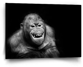 Sablio Obraz Orangután - 60x40 cm