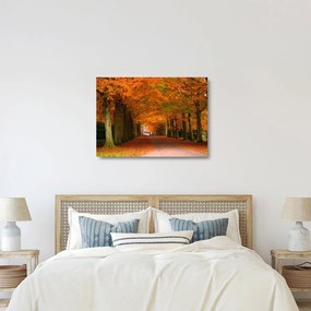 Sklenený obraz - Jeseň Alej stromov (70x50 cm)