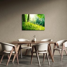 Obraz - Magická lúka plná púpav (70x50 cm)