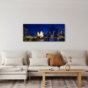 Obraz nočného Singapuru (120x50 cm)
