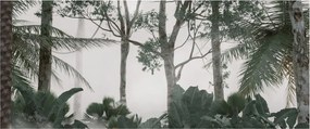 Obraz - Jungle v rannej hmle (120x50 cm)