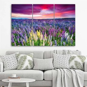 Obraz na plátně třídílný Levandulového pole Příroda - 90x60 cm