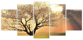 Obraz prírody - strom