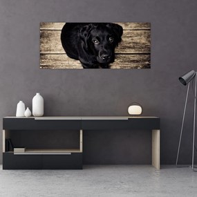 Obraz čierneho šteňaťa (120x50 cm)