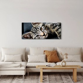 Obraz - Mačiatko (120x50 cm)
