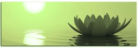Obraz na plátne - Zen lotus - panoráma 5167ZA (105x35 cm)