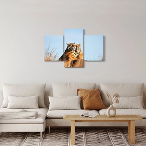 Obraz - Tigrice a jej mláďa (90x60 cm)