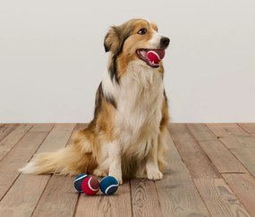 Loptičky pre psy, 4 ks