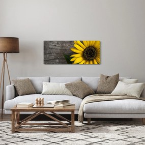 Obraz - Kvet slnečnice (120x50 cm)