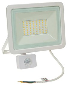 Wojnarowscy LED Vonkajší reflektor so senzorom NOCTIS LUX 2 LED/50W/230V 4000K IP44 biela WJ0406