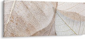 Obraz - Béžové listy (120x50 cm)