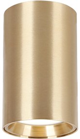 Stropné svietidlo Genesis, 1x zlaté kovové tienidlo, (10 cm)