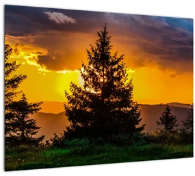 Obraz - ihličnany (70x50 cm)