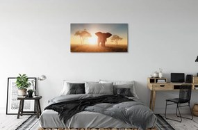 Obraz canvas Sloní strom na východ 140x70 cm