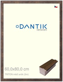 DANTIK rám na obraz 60x80 | TRITON měď antik (Plexi Čiré)